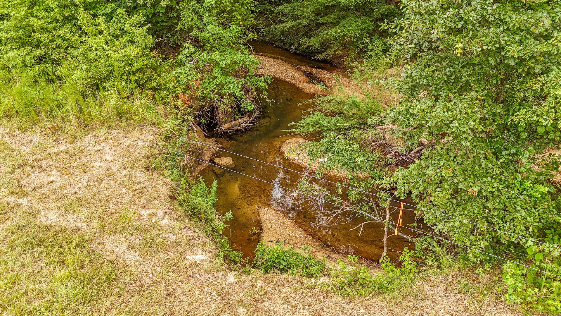0 Seaton Loop Adamsville, TN 38310 - Photo 10 of 14 View of local wilderness