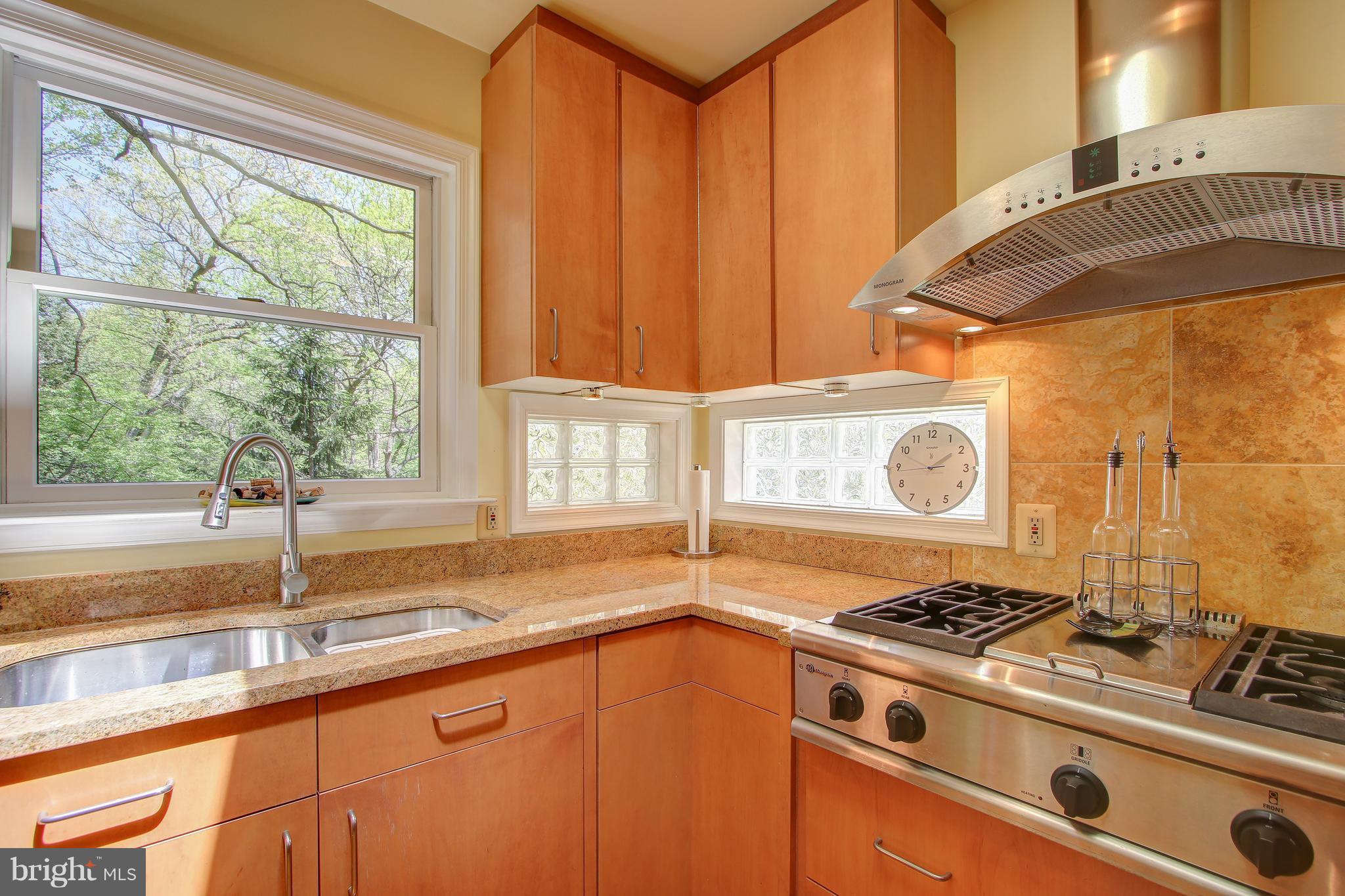 141 Ritchie Avenue Silver Spring, MD 20910 - Photo 14 of 30 All GE Monogram & Profile appliances