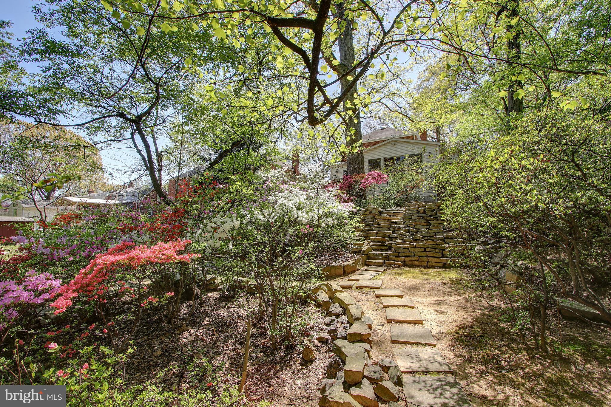 141 Ritchie Avenue Silver Spring, MD 20910 - Photo 22 of 30 The gardens abound with heritage azaleas