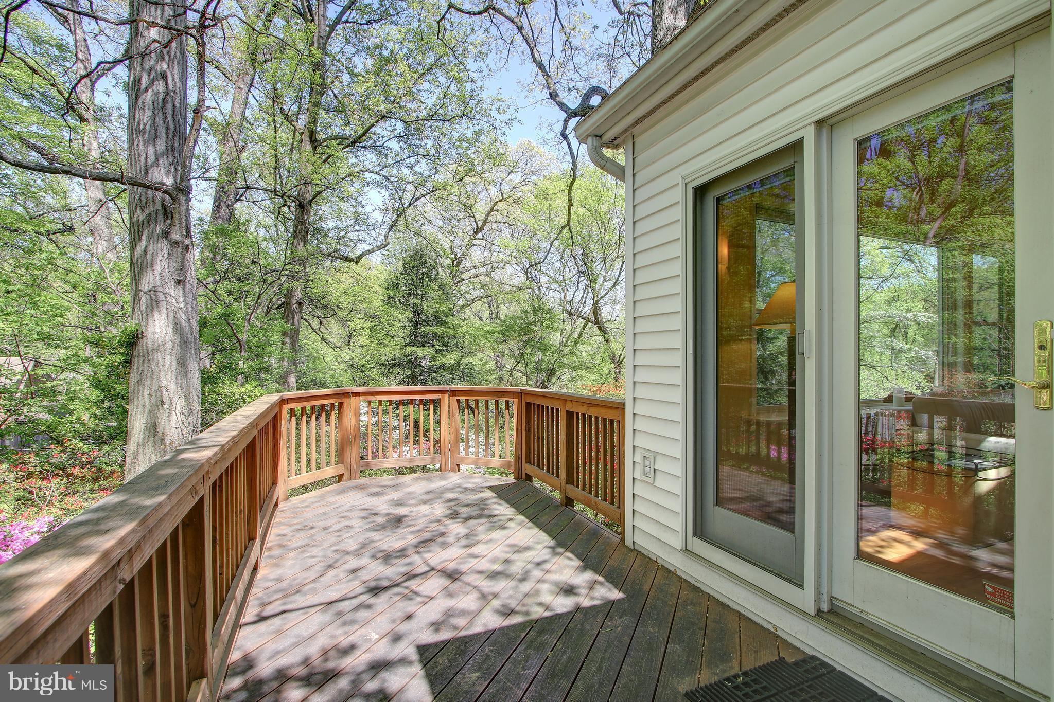 141 Ritchie Avenue Silver Spring, MD 20910 - Photo 24 of 30 Dual, book-matched decks