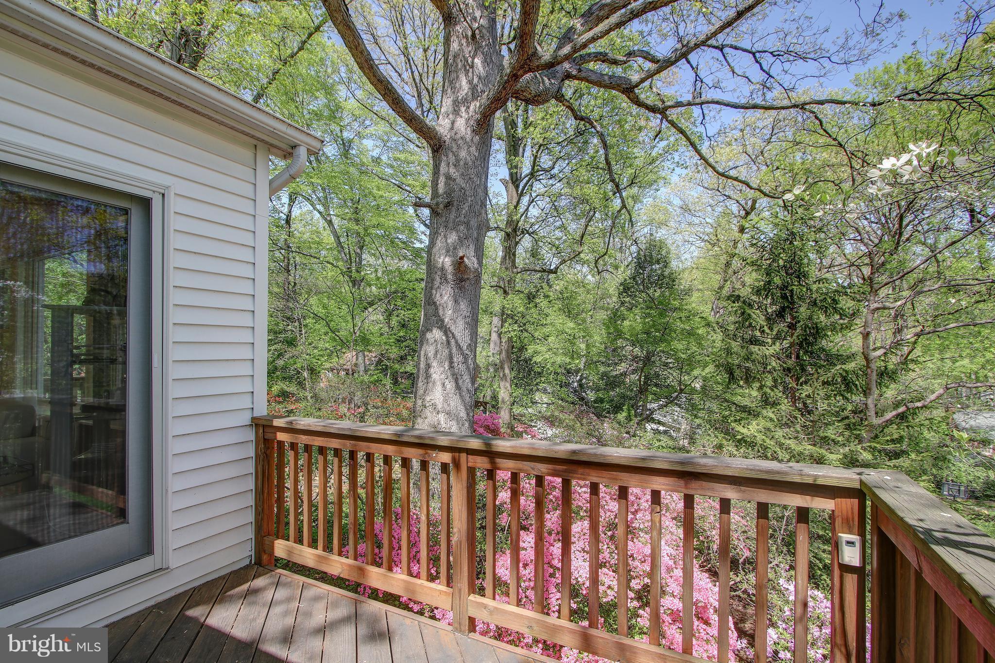 141 Ritchie Avenue Silver Spring, MD 20910 - Photo 25 of 30 overlook the manicured perennial gardens