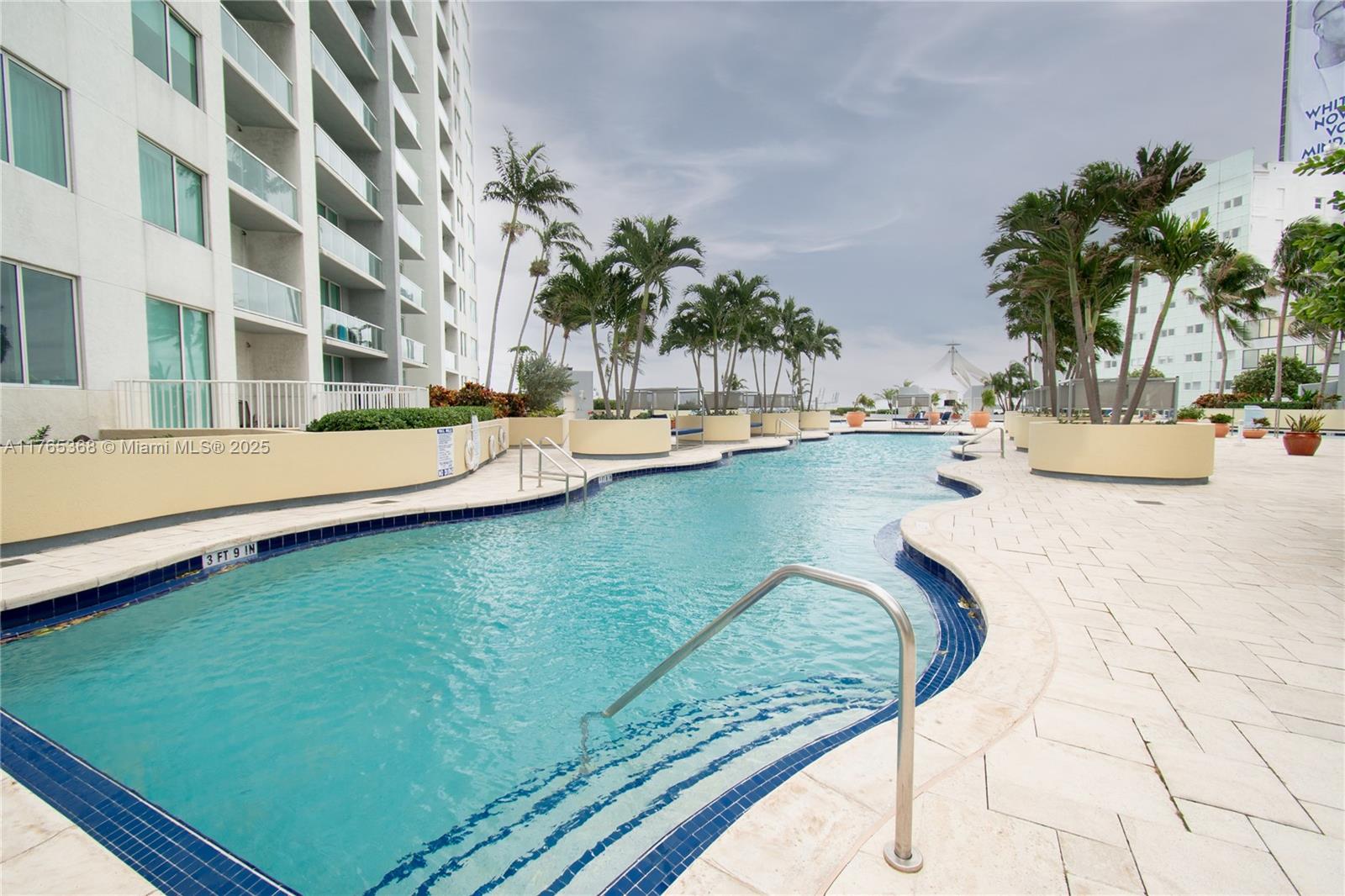 Miami Central Business District Miami, FL 33132 - Photo 12 of 23 a view of a swimming pool with a lawn chairs under palm trees