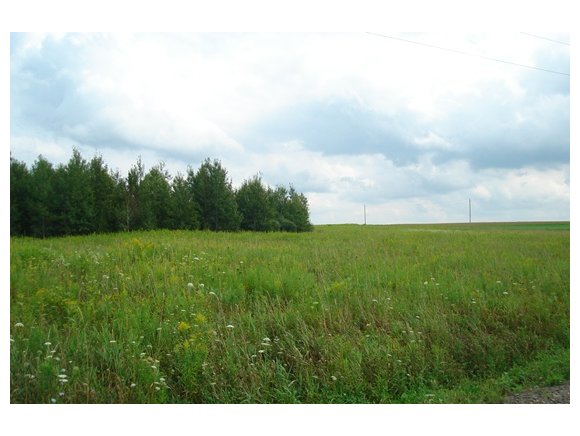 30 Pittman Road Lisle, NY 13803 - Photo 1 of 9 Gallery Image 1