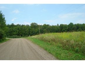 30 Pittman Road Lisle, NY 13803 - Photo 2 of 9 Gallery Image 2