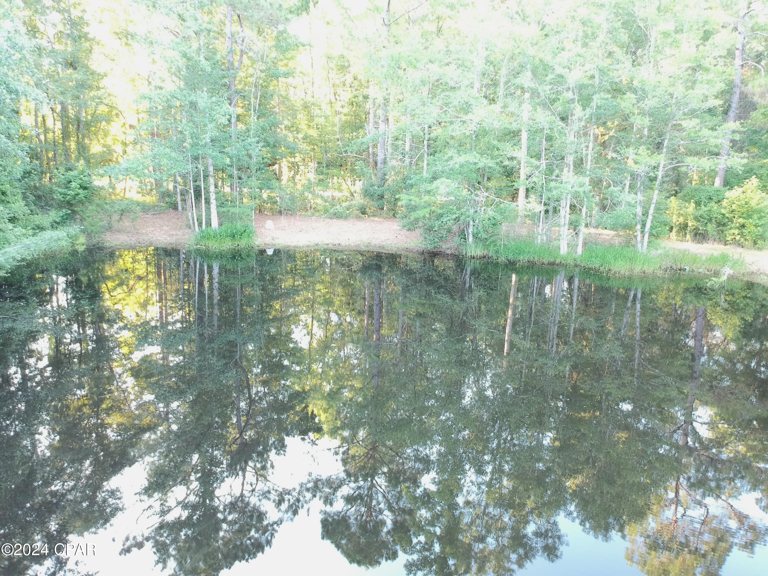 1356 Beaver Dam Road Bonifay, FL 32425 - Photo 16 of 21 Gallery Image 16