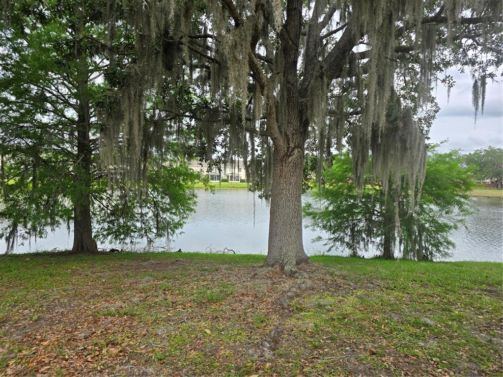 2351 Water View Loop Kissimmee, FL 34743 - Photo 21 of 26