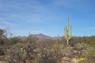 11160 North Sandra Road Tucson, AZ 85742 - Photo 7 of 7 Gallery Image 7