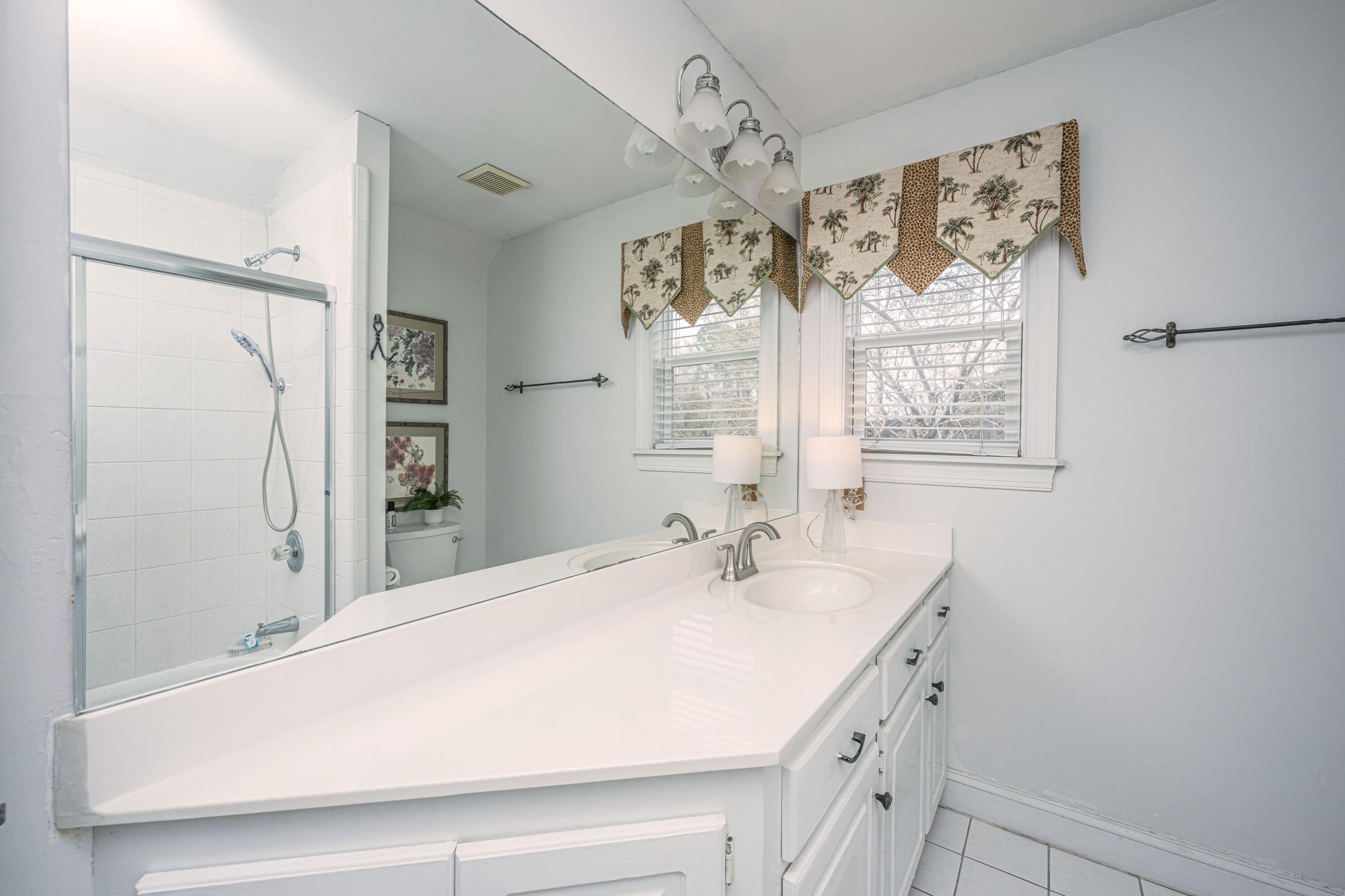 509 Chimney Bluff Drive Mount Pleasant, SC 29464 - Photo 39 of 63 509ChimneyBluffDr049
