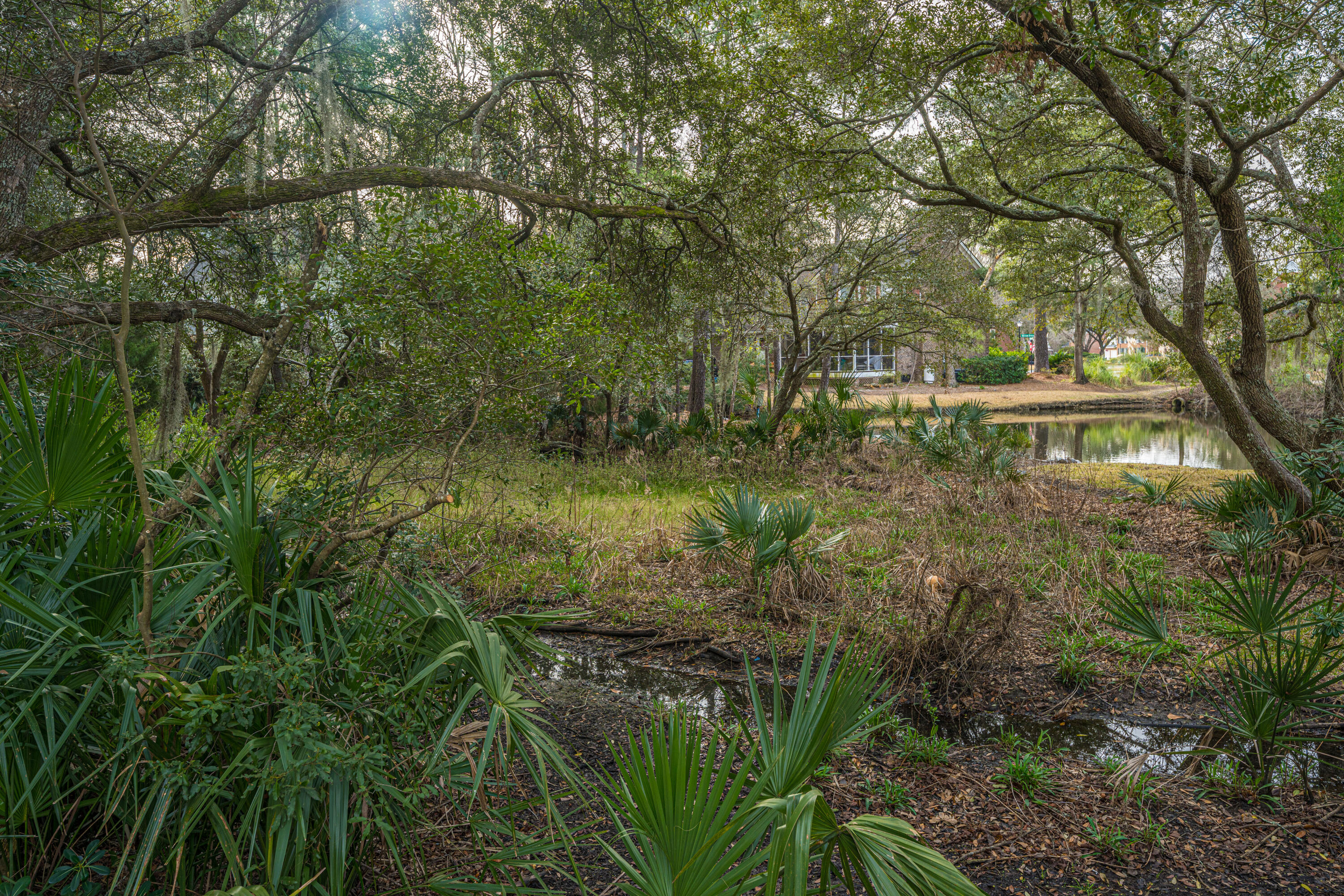 509 Chimney Bluff Drive Mount Pleasant, SC 29464 - Photo 47 of 62 509ChimneyBluffDr058