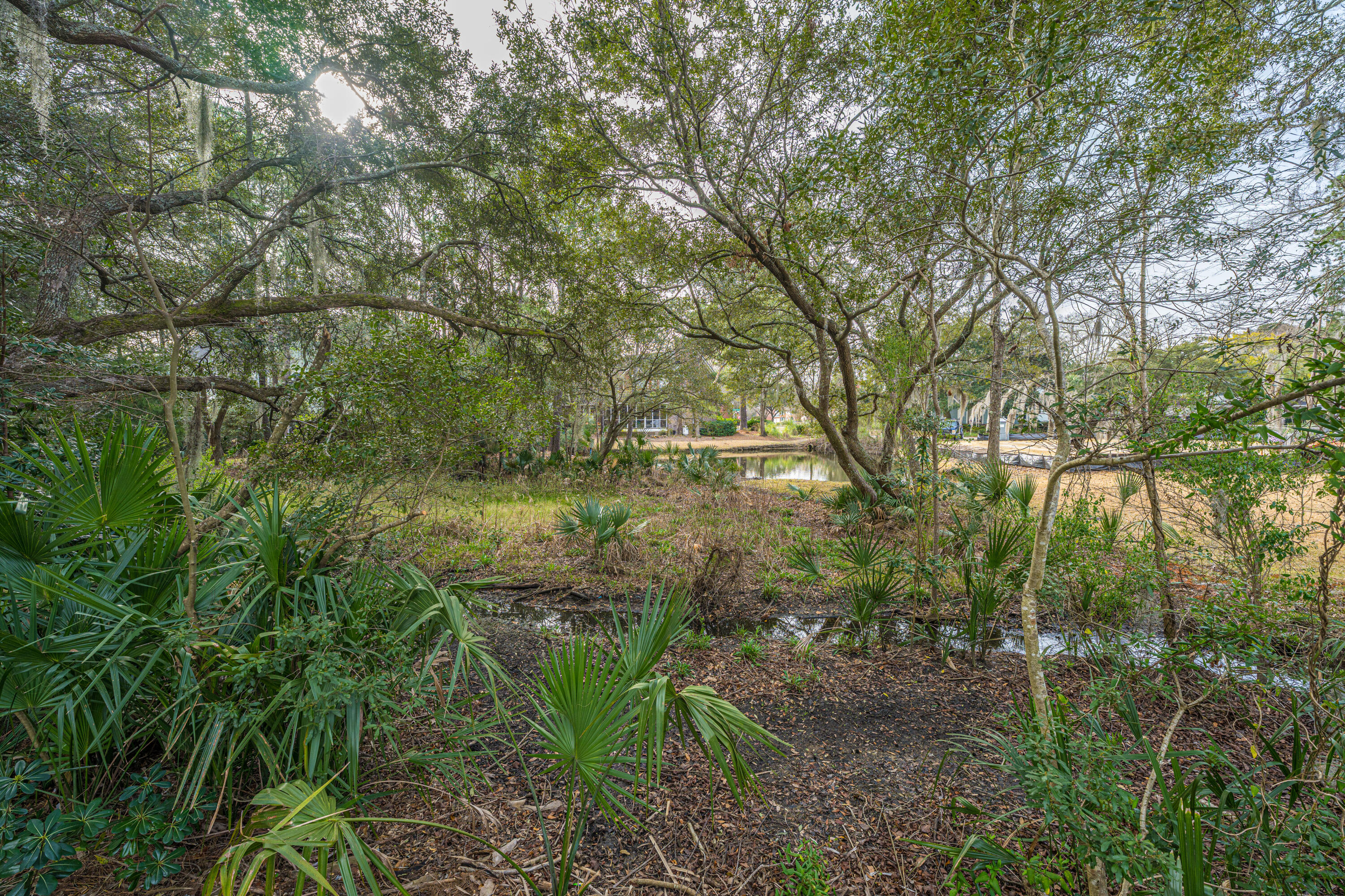 509 Chimney Bluff Drive Mount Pleasant, SC 29464 - Photo 50 of 63 509ChimneyBluffDr057