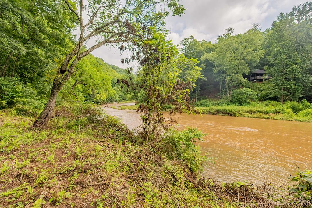 Tbd River Road, Unit 74 Hillsville, VA 24343 - Photo 22 of 31 Gallery Image 22