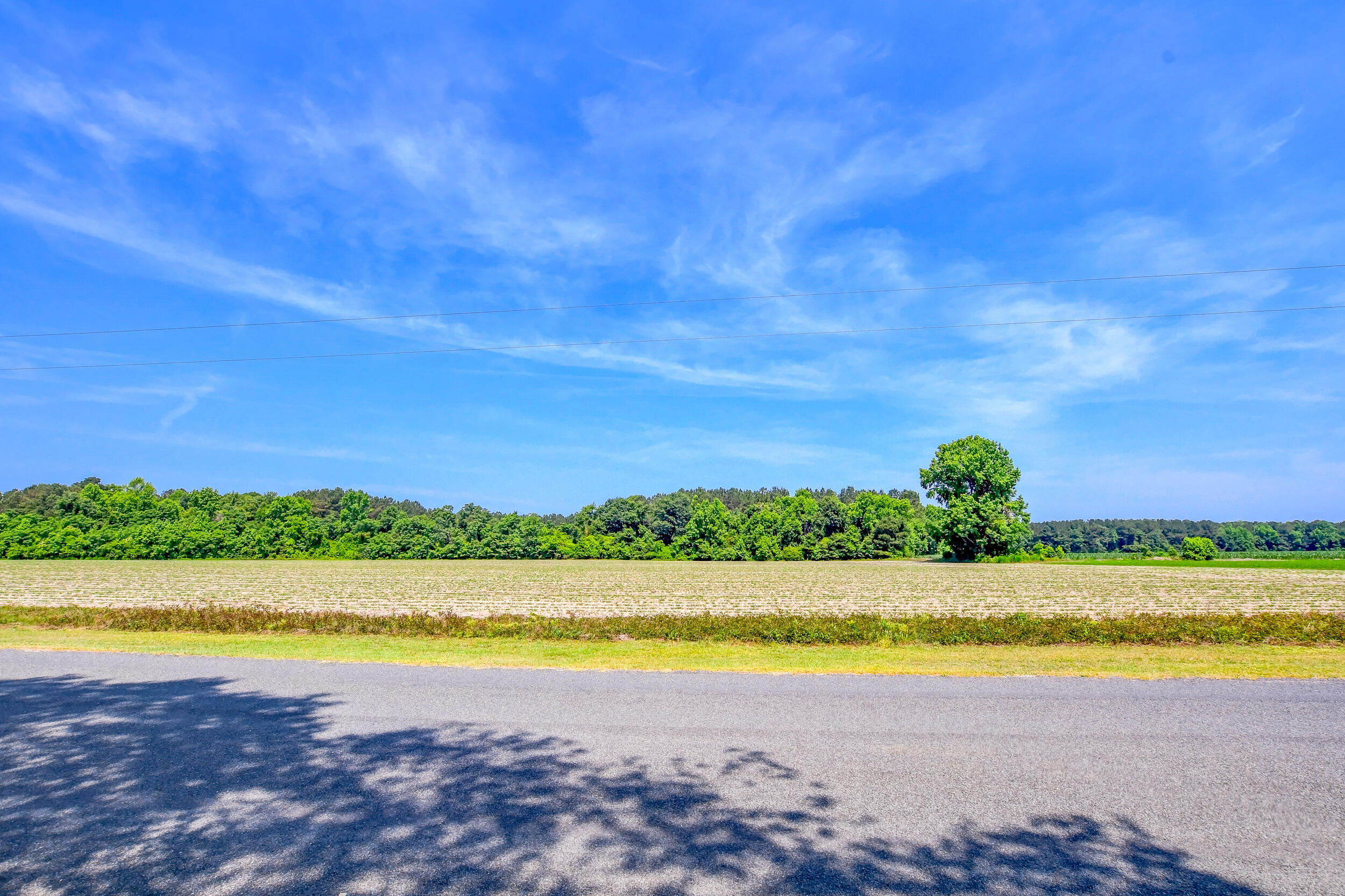 181 Camellia Road Reevesville, SC 29471 - Photo 32 of 33 DSC_9713_4_5_6_7