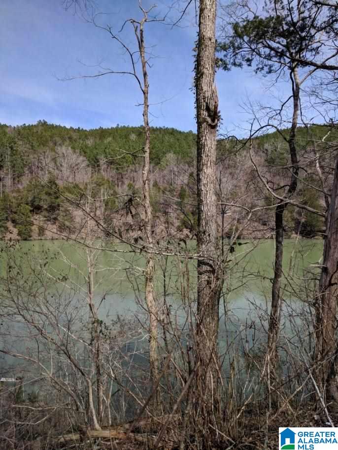 167 Big Shoals Road, Unit LOT 14 Adger, AL 35006 - Photo 1 of 12