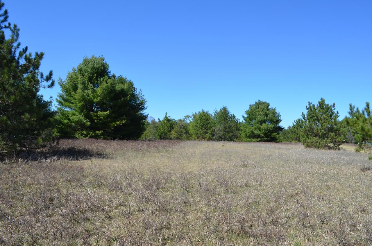 Lot 5 Point O Pines Road Tomahawk, WI 54487 - Photo 16 of 25 Gallery Image 16