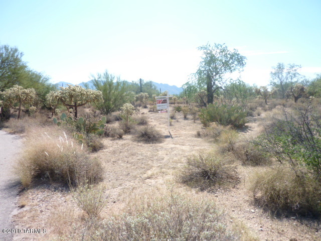 11880 North Shannon Road Tucson, AZ 85742 - Photo 6 of 9