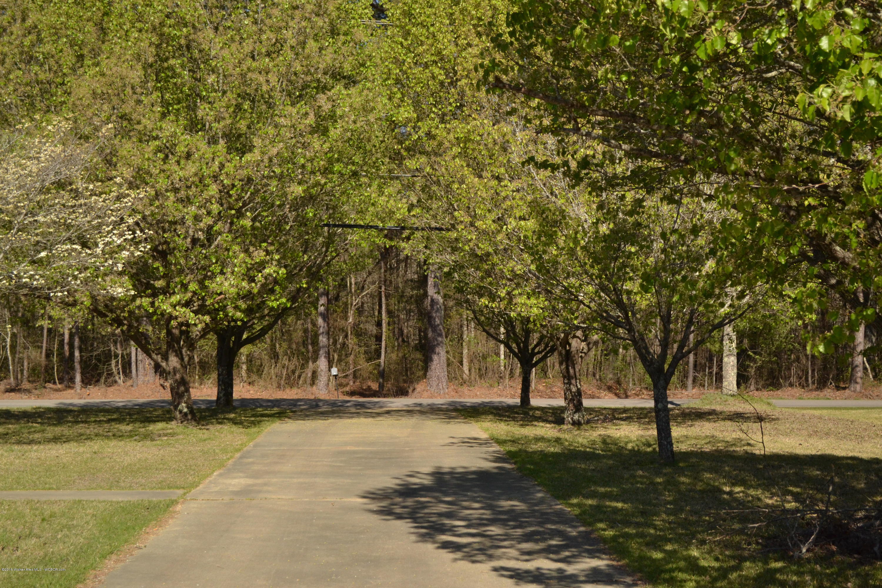 3604 North Walston Bridge Road Jasper, AL 35504 - Photo 23 of 23 Gallery Image 23