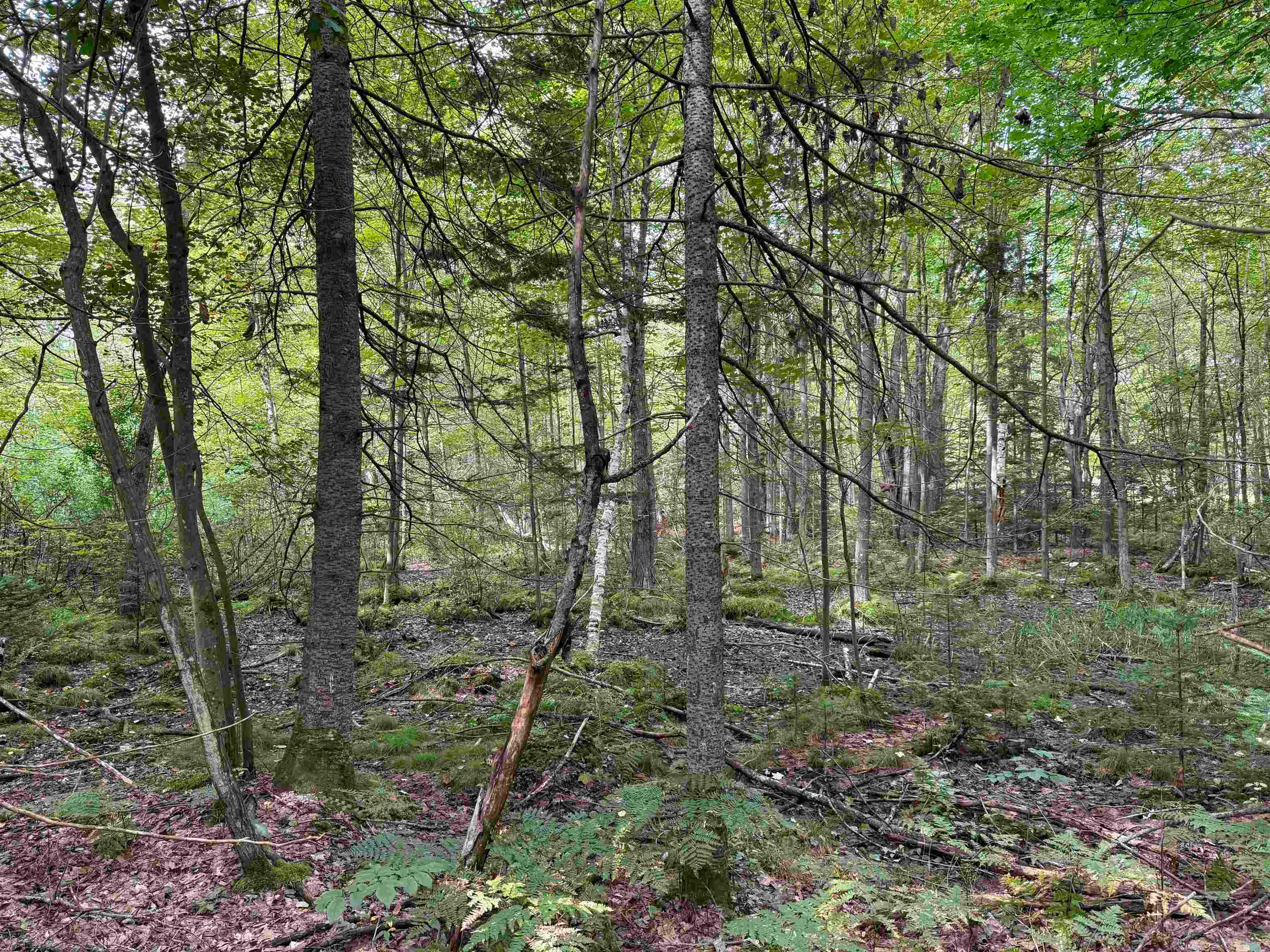 8 Laird Lake Road Hale, MI 48739 - Photo 10 of 17 Gallery Image 10