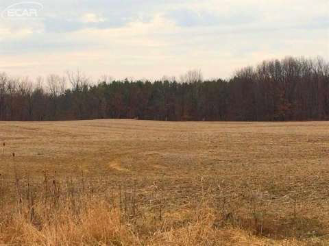8080 Lahring Road Gaines, MI 48436 - Photo 17 of 34 20439510-16.JPG