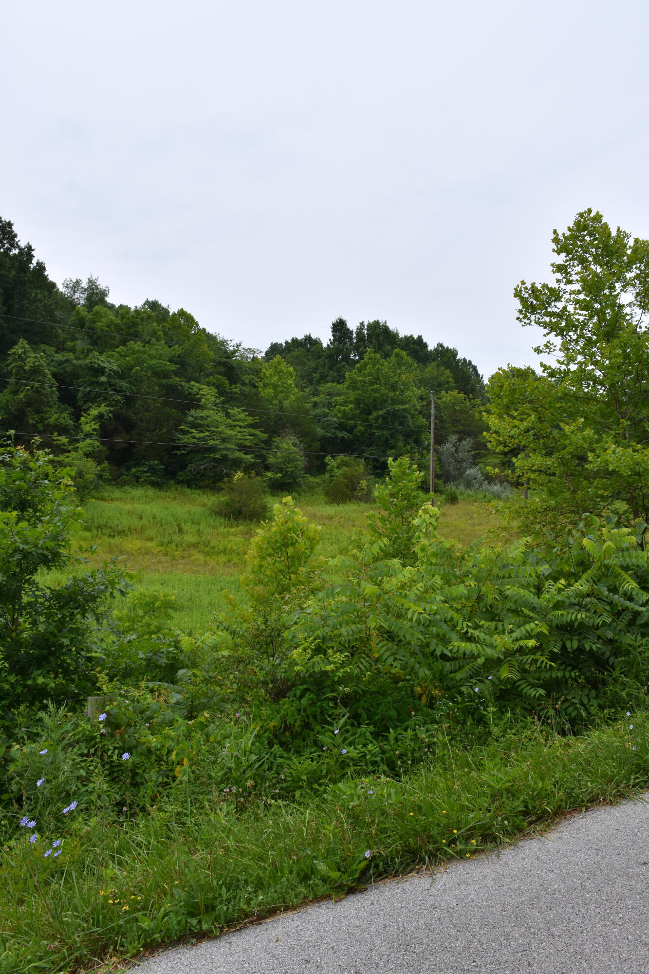 1540 Snag Creek Road Foster, KY 41043 - Photo 10 of 11