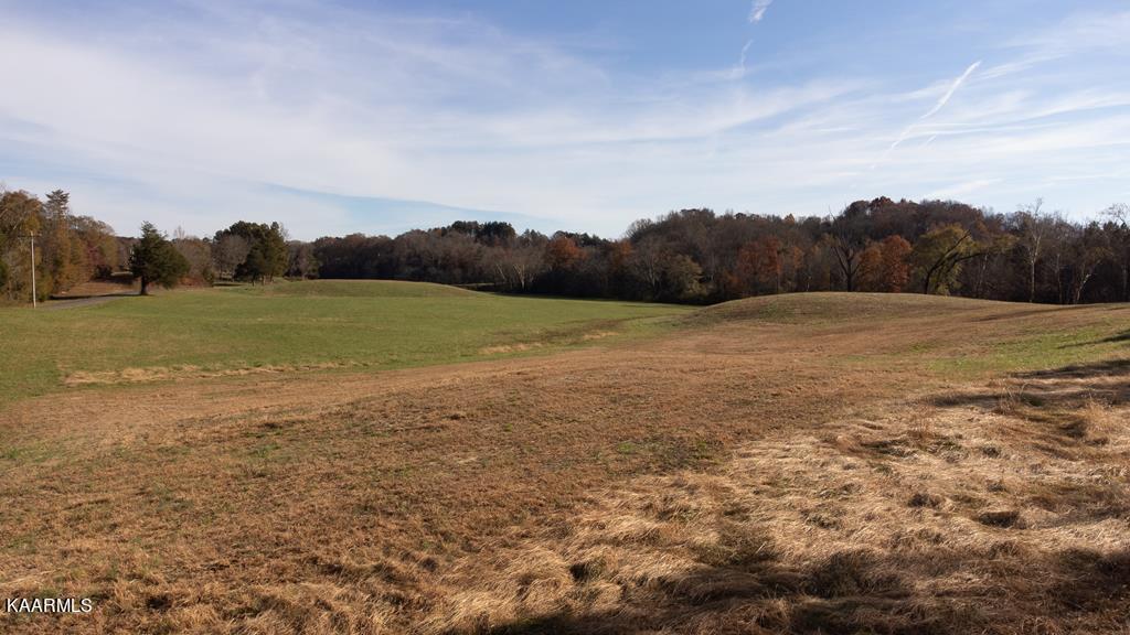 31.52-acre Athens Road Calhoun, TN 37309 - Photo 11 of 23 clark 13