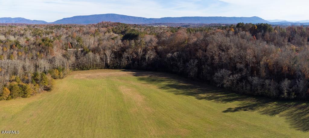 31.52-acre Athens Road Calhoun, TN 37309 - Photo 12 of 23 clark 12