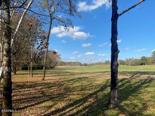 31.52-acre Athens Road Calhoun, TN 37309 - Photo 19 of 23 clark 5