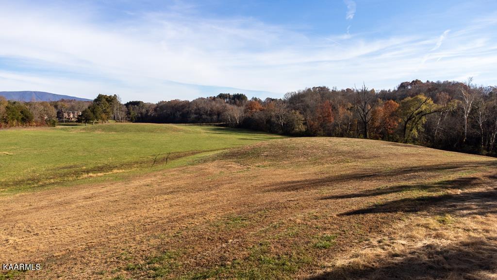 31.52-acre Athens Road Calhoun, TN 37309 - Photo 9 of 23 clark