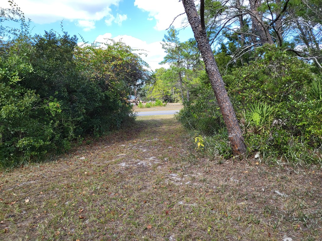 2053 Lighthouse Road Carrabelle, FL 32322 - Photo 26 of 38 Gallery Image 26