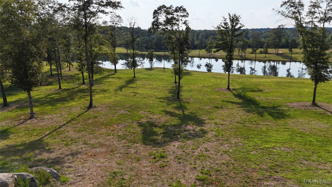 58 Cross Creek Road Alexander City, AL 35010 - Photo 5 of 17 Gallery Image 5