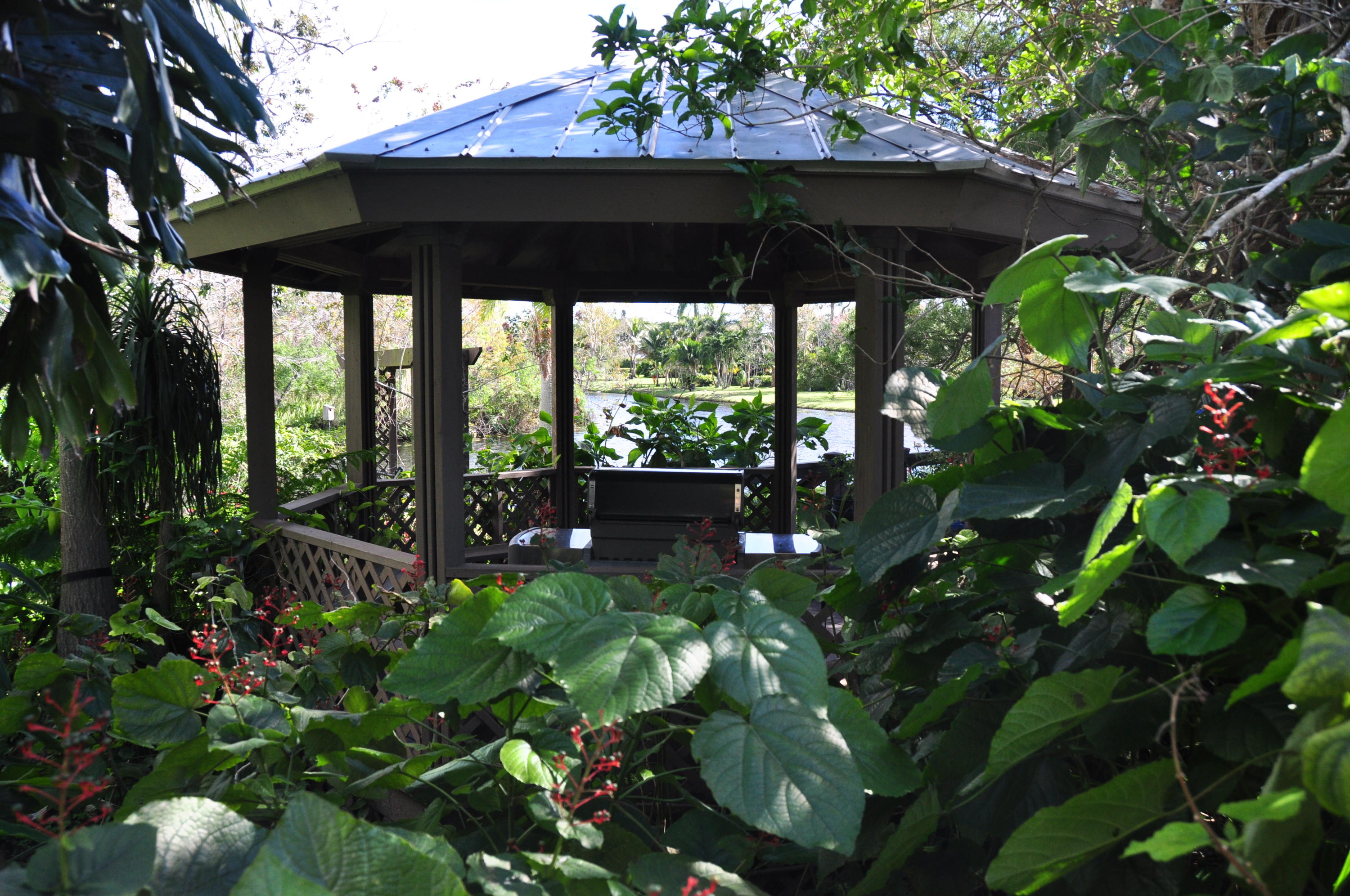6684 Wood Lake Road Jupiter, FL 33458 - Photo 3 of 46 DSC_0881