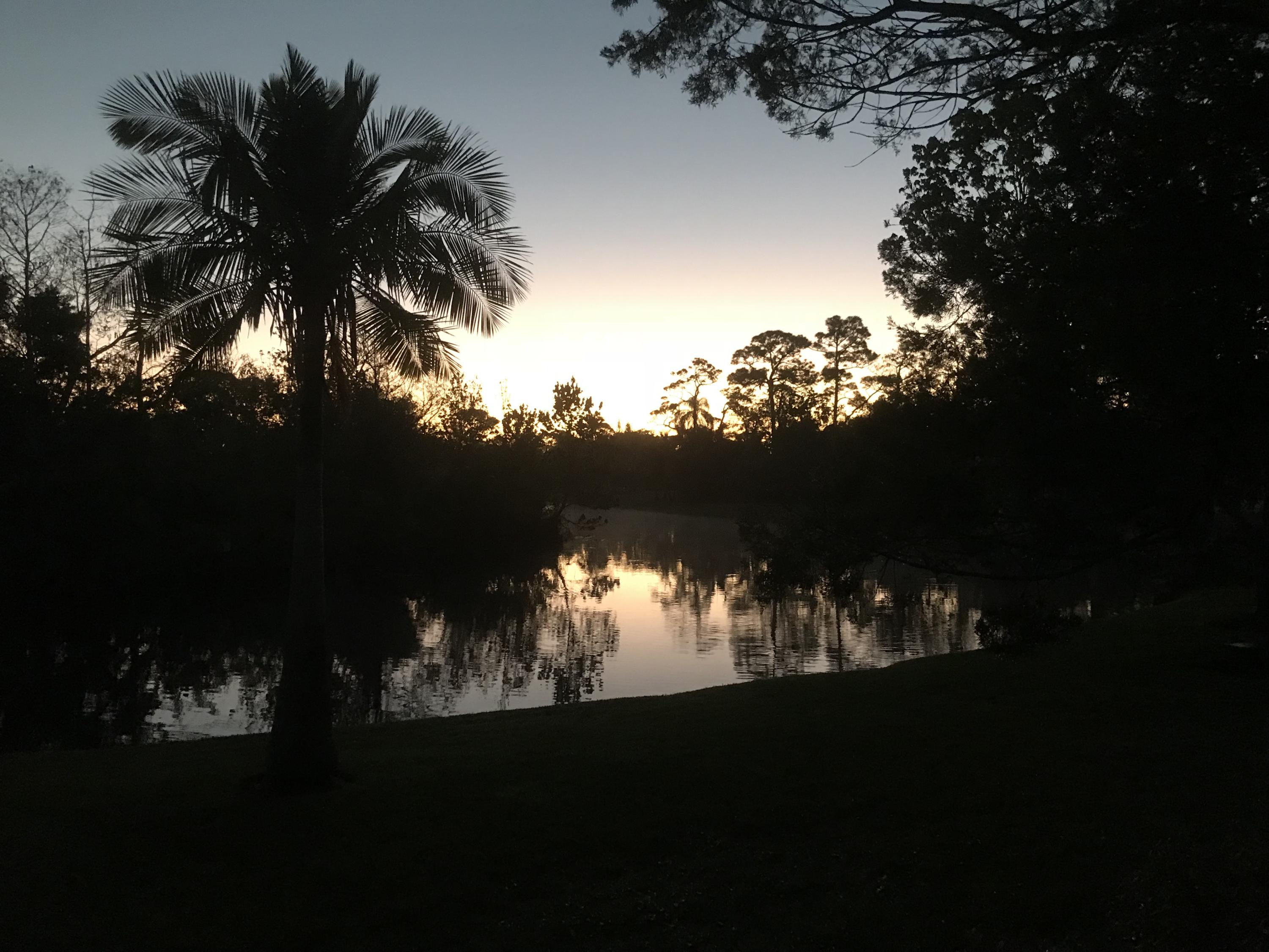 6684 Wood Lake Road Jupiter, FL 33458 - Photo 41 of 46 IMG_2636