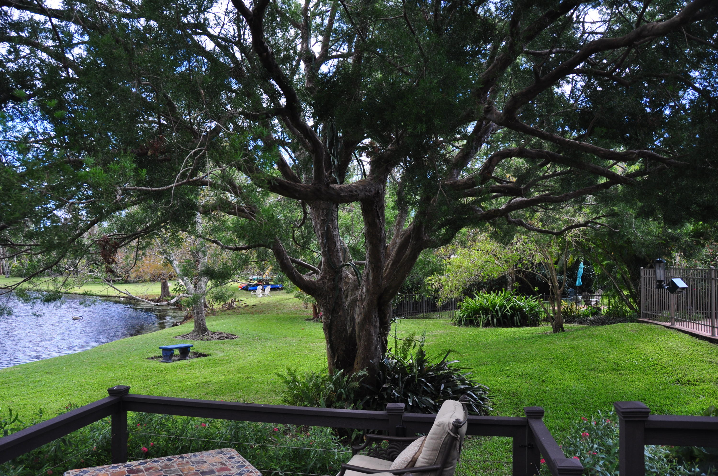 6684 Wood Lake Road Jupiter, FL 33458 - Photo 44 of 46 DSC_0910