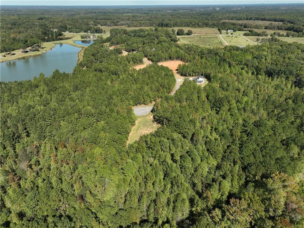 5215 Mary Olive Road Opelika, AL 36801 - Photo 3 of 10 Gallery Image 3