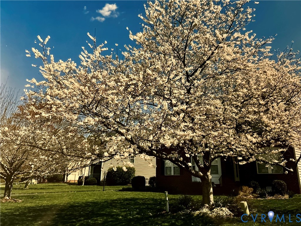 8766 Roberta Road Mechanicsville, VA 23116 - Photo 50 of 51
