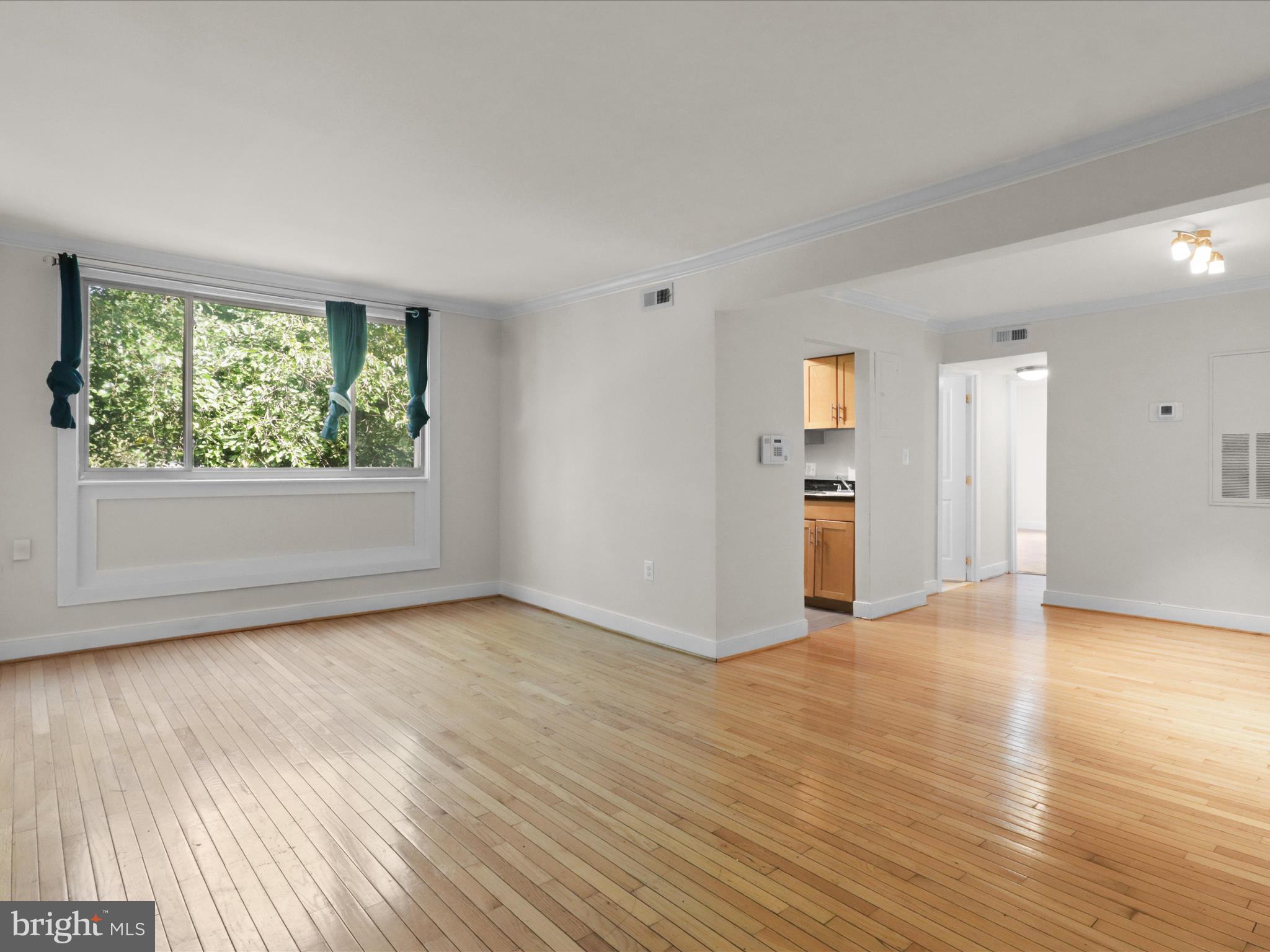 2850 Hartford Street Southeast, Unit 203 Washington, DC 20020 - Photo 3 of 23 Hardwood floors in great shop.