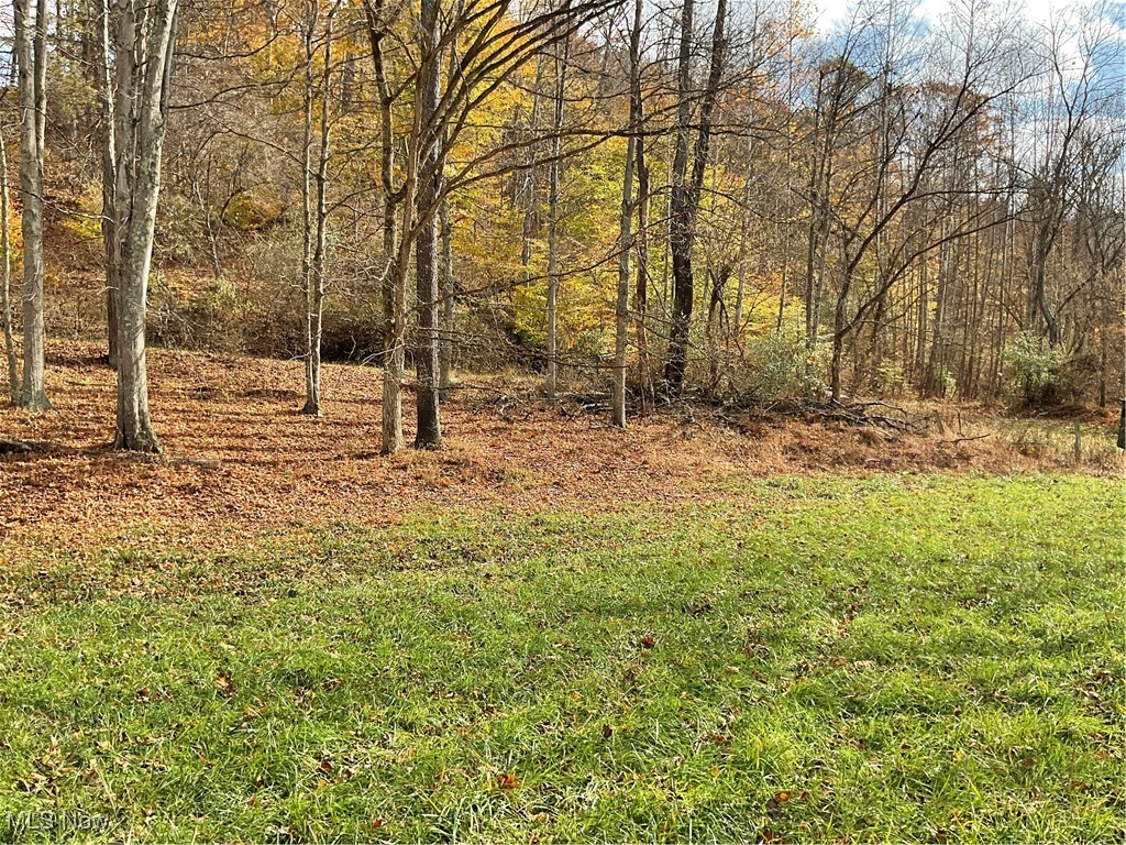 0 White Oak Road Walker, WV 26180 - Photo 29 of 39