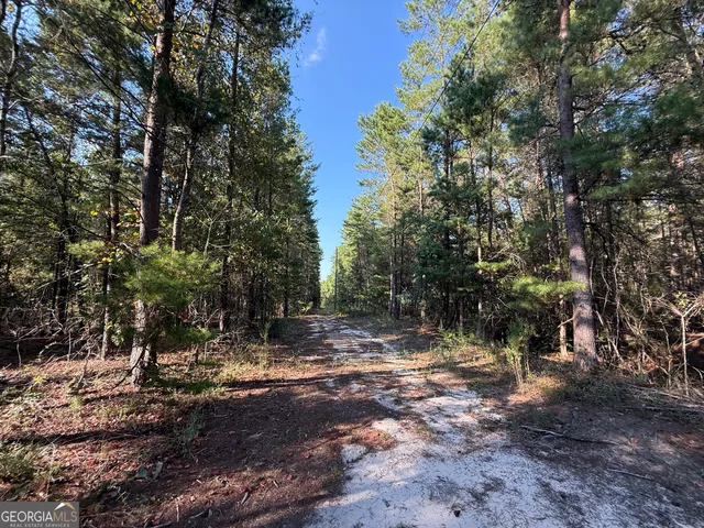 $139,000 | 461 Jackson Road, Roberta, GA 31078