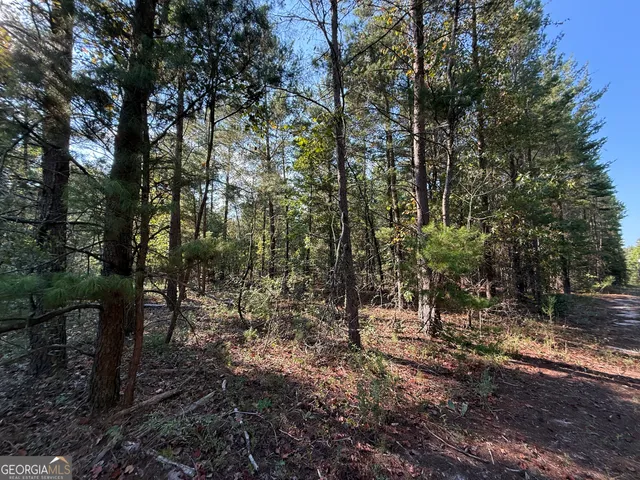 $139,000 | 461 Jackson Road, Roberta, GA 31078