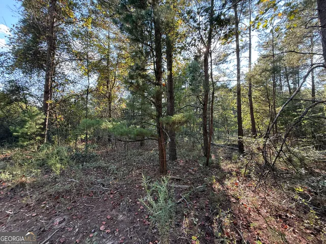 $139,000 | 461 Jackson Road, Roberta, GA 31078