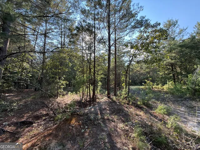 $139,000 | 461 Jackson Road, Roberta, GA 31078