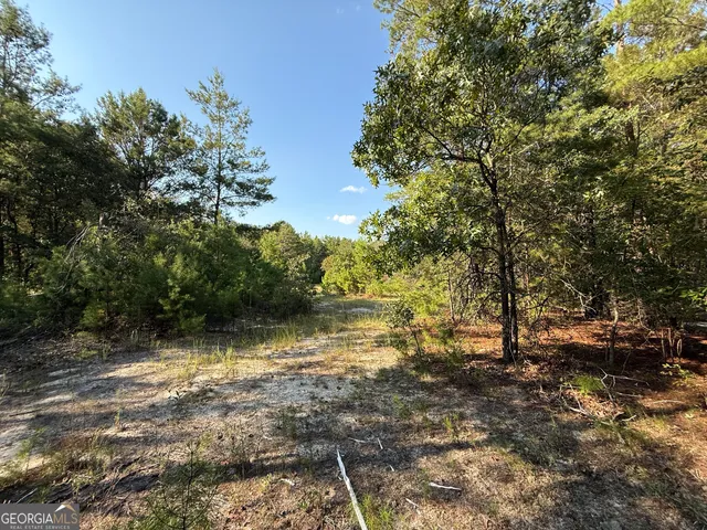 $139,000 | 461 Jackson Road, Roberta, GA 31078