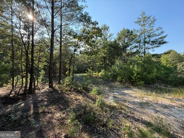 $139,000 | 461 Jackson Road, Roberta, GA 31078