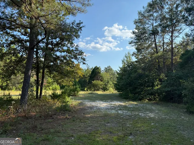 $139,000 | 461 Jackson Road, Roberta, GA 31078