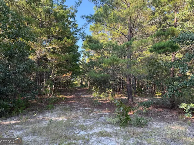 $139,000 | 461 Jackson Road, Roberta, GA 31078