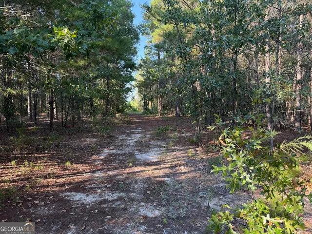 $139,000 | 461 Jackson Road, Roberta, GA 31078