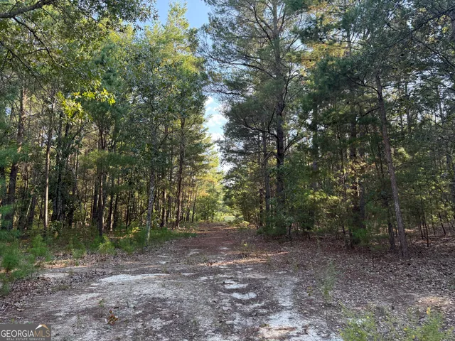 $139,000 | 461 Jackson Road, Roberta, GA 31078