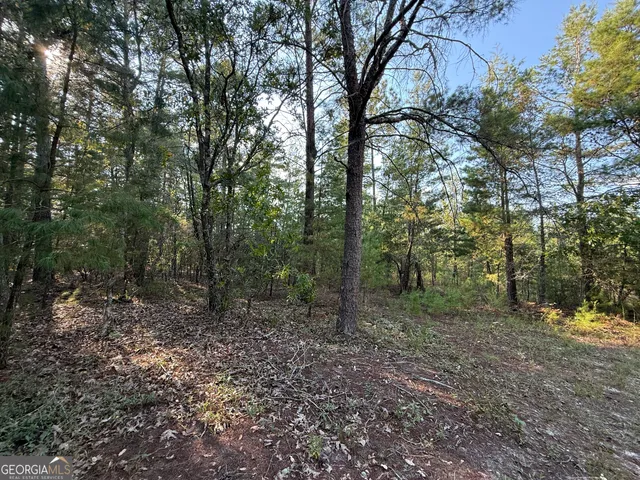 $139,000 | 461 Jackson Road, Roberta, GA 31078