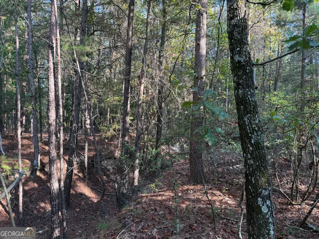 $139,000 | 461 Jackson Road, Roberta, GA 31078