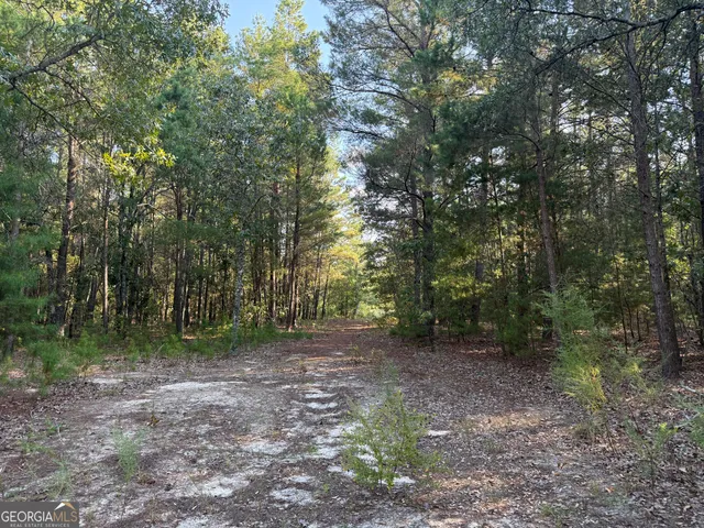 $139,000 | 461 Jackson Road, Roberta, GA 31078