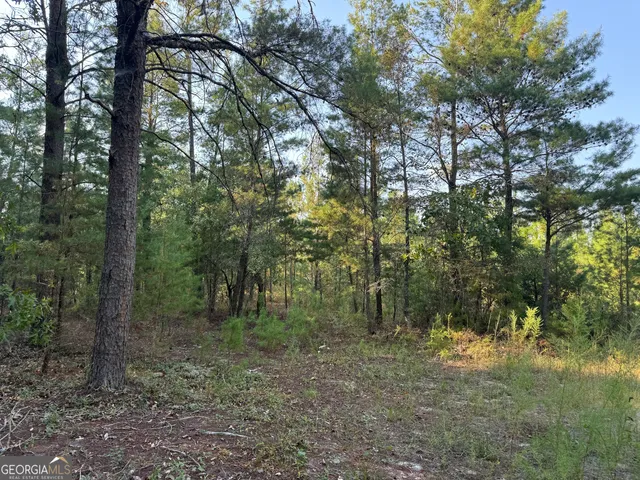 $139,000 | 461 Jackson Road, Roberta, GA 31078